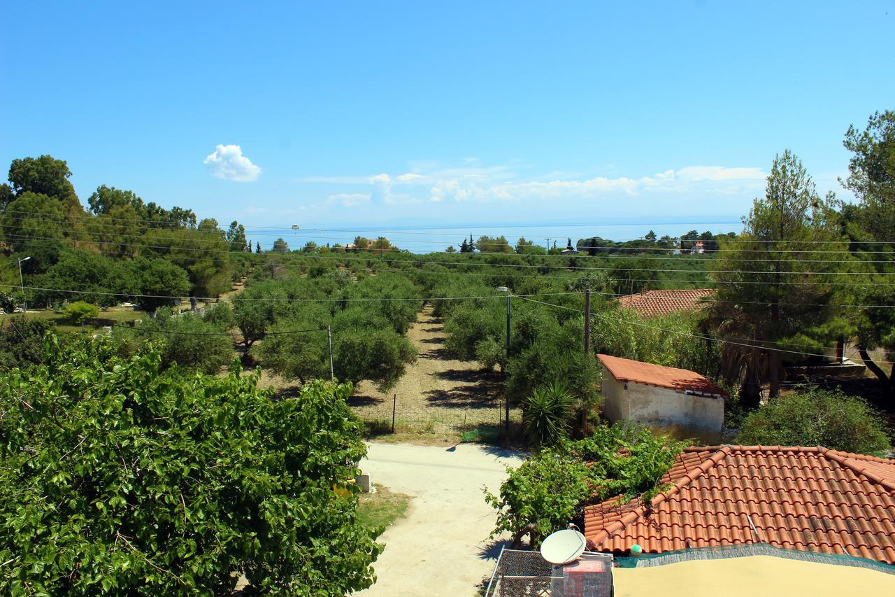 Zante Yliessa Apartment Vasilikí Екстериор снимка