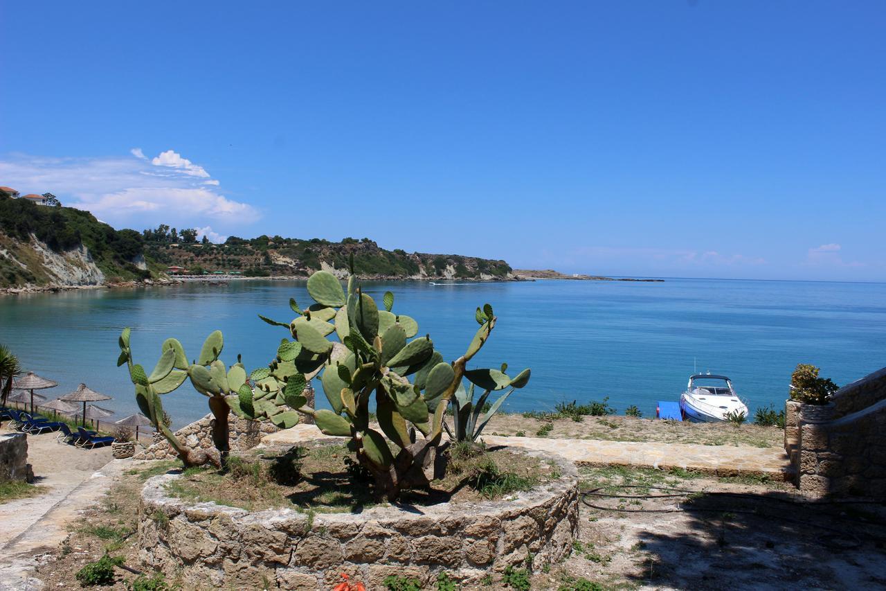 Zante Yliessa Apartment Vasilikí Екстериор снимка